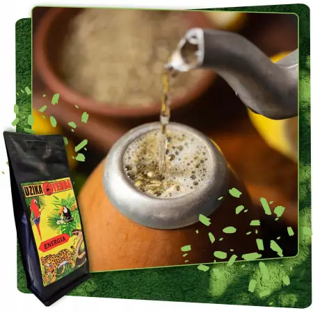 Dzika Yerba Energia