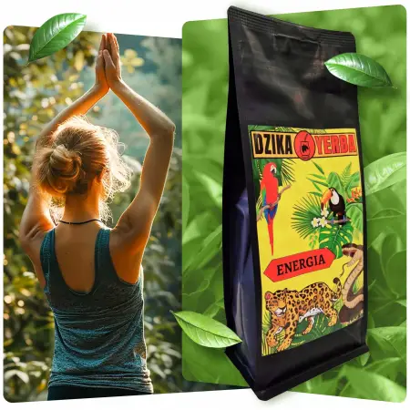 Dzika Yerba Energia